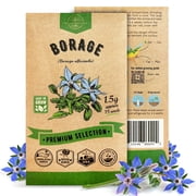 Organo Republic Borage Seeds   75+ Non-GMO Heirloom Seeds, 1.5g Packet for Planting Herbs Indoors & Outdoors, Cucumber-Flavored Edible Flower for Home Garden