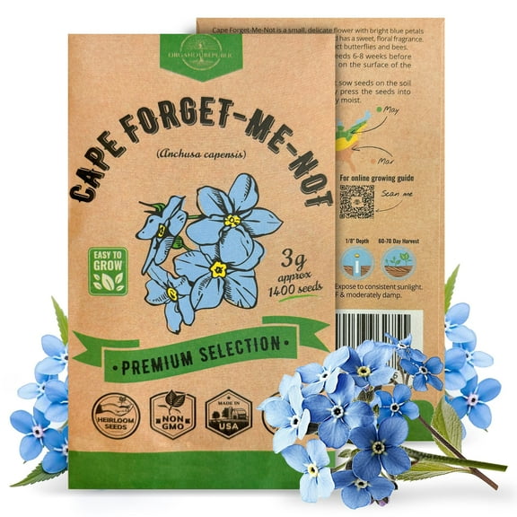 Organo Republic Cape Forget-Me-Not Seeds  1,400+ Non-GMO Heirloom Seeds, 3g Packet for Planting Flowers Indoors & Outdoors, Pollinator-Friendly Blue Blooms for Home Garden