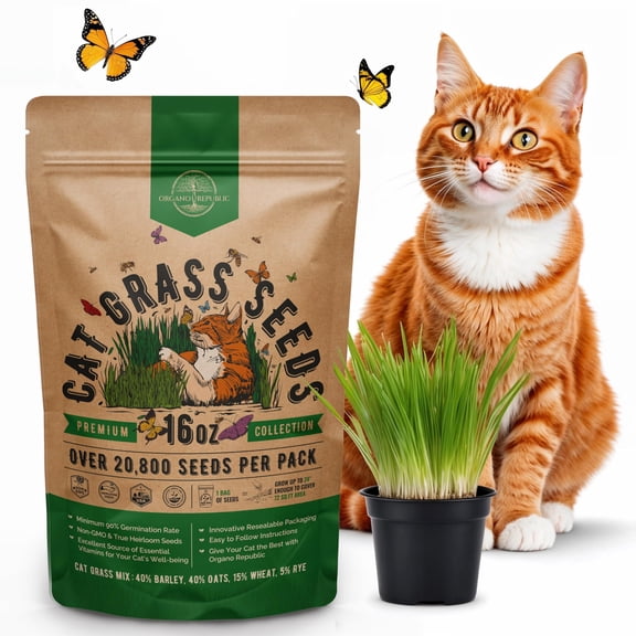 Organo Republic CatITSCGrass Mix - 20,800 Non-GMO Heirloom for Cats & Pets, 16 oz Pack for Growing Fresh Barley, Oat, Rye & Wheat Grass for Planting, Indoor Plants, Hairball Remedy