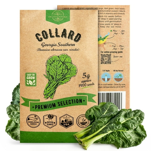 Organo Republic Collard Georgia Southern Seeds 1,900+ Non-GMO Heirloom Seeds, 5G Packet for Planting Vegetables Indoors & Outdoors, Southern-Style Greens for Home Garden