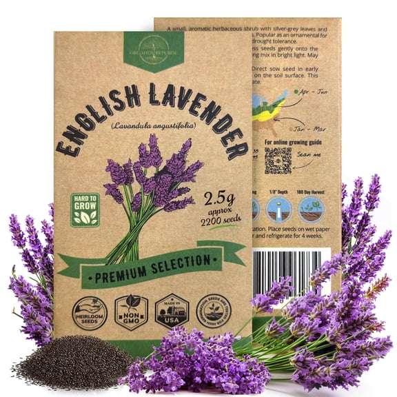 Organo Republic English Lavender Seeds 2.5 g – 2,200 Non‑GMO Heirloom Lavender Seeds – Indoor and Outdoor Herb Seed Packet for Home Garden, Aromatherapy & Pollinator Planting