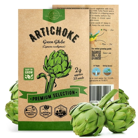 Organo Republic Green Globe Artichoke Seeds 35+ Non-GMO Heirloom Seeds, 2g Packet for Planting Vegetables Indoors & Outdoors, Gourmet Garden Artichoke for Home Use
