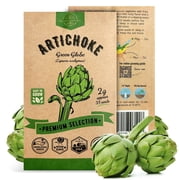 Organo Republic Green Globe Artichoke Seeds   35+ Non-GMO Heirloom Seeds, 2g Packet for Planting Vegetables Indoors & Outdoors, Gourmet Garden Artichoke for Home Use