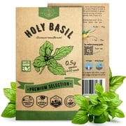 Organo Republic Holy Basil Seeds 0.5 g   1,400 Non GMO Heirloom Basil Seeds   Indoor and Outdoor Herb Seed Packet for Home Garden, Culinary & Medicinal Planting