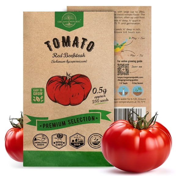 Organo Republic Red Beefsteak Tomato Seeds Pack 0.5g – 250+ Non-GMO Heirloom Vegetable Seeds for Planting Indoor or Outdoor Home Garden