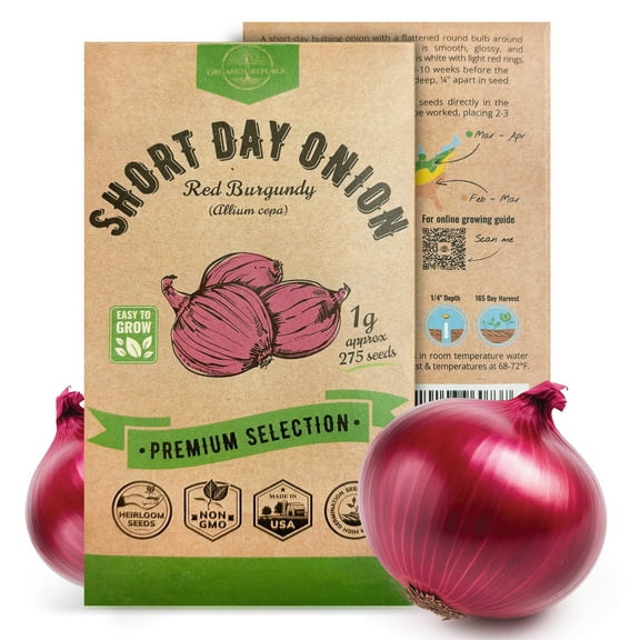 Organo Republic Red Burgundy Onion Seeds – 275+ Non-GMO Heirloom Seeds, 1g Packet for Planting Vegetables Indoors & Outdoors, Home Garden Vegetable Seeds