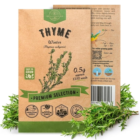 Organo Republic Thyme Seeds Pack – 0.5 g 1,350 Non‑GMO Heirloom Thyme Seeds – Indoor and Outdoor Herb Seed Packet for Home Garden & Hydroponics
