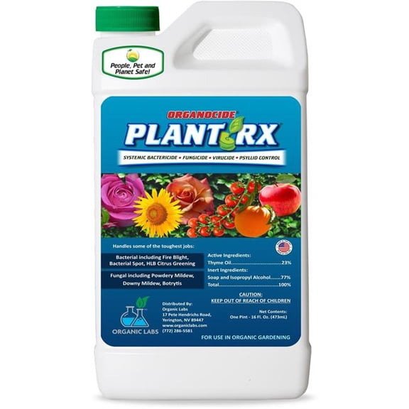Organocide MBT223016 16 oz R x Concentrate Plant