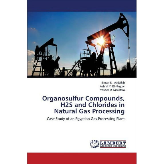 Organosulfur Compounds, H2s and Chlorides in Natural Gas Processing (Paperback)