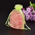 thumbnail image 1 of Organza Bags Organza Pouches for Potpourri Rectangle Light Green about 10cm wide 15cm long, 1 of 2