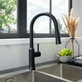 thumbnail image 1 of Oribe Single-Handle Kitchen Faucet with Pull Down Sprayer in Matte Black, 1 of 16