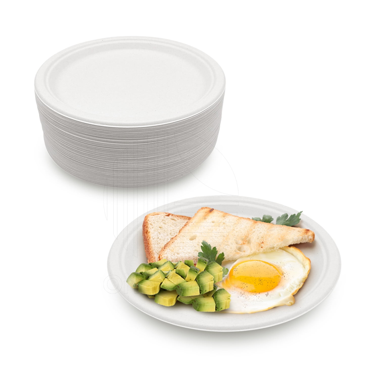 7 Eco-Friendly Disposable Plate (100 Count), 100 - Harris Teeter