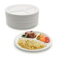 thumbnail image 1 of OrienTreeN Disposable White Bagasse Plate, 10", White, 125 Count, 1 of 10