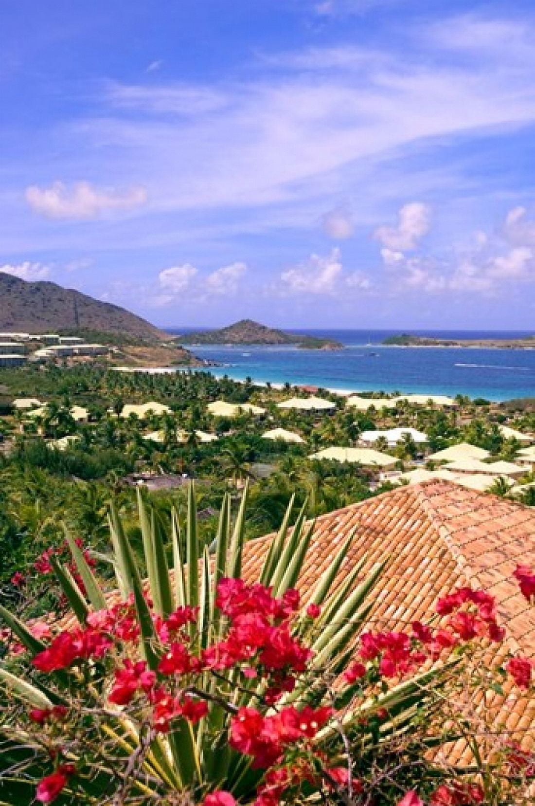 Orient Bay and pink flowers St Martin Caribbean Canvas Art - Michael DeFreitas DanitaDelimont (18 x 26)