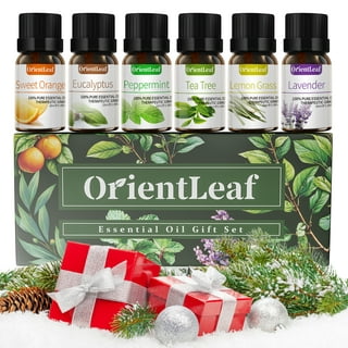 1pc 0.33oz Christmas Food Scent Oil Sugar Cookie Fragrance Oil, Essential  Oil For Diffuser, Humidifier, Candle Making, Soap Scents, Christmas Gifts