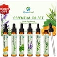 thumbnail image 1 of OrientLeaf Essential Oil Set, 100% Pure Natural Aromatherapy Essential Oils Set for Diffusers, Massage, Aromatherapy, Skin & Hair Care, Gifts Choice for Women, 1 of 8