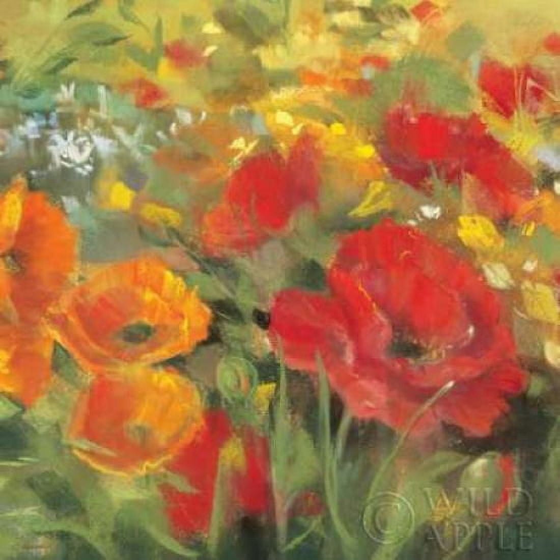 Oriental Poppy Field I Canvas Art - Carol Rowan (24 x 24)