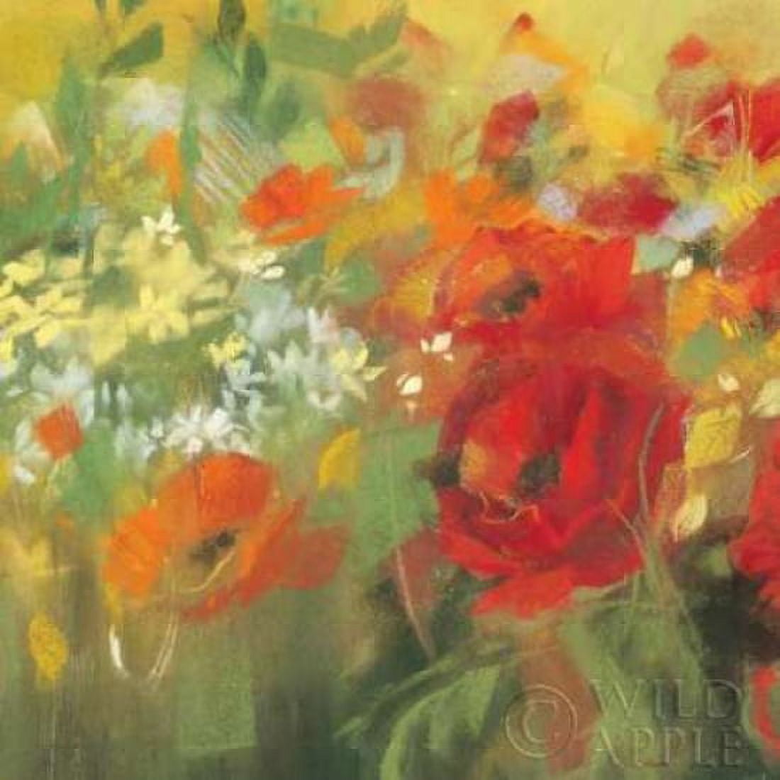 Oriental Poppy Field II Canvas Art - Carol Rowan (24 x 24)