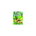 thumbnail image 1 of Pre-Owned Orienteering Made Simple an Instructional Handbook (Paperback) 1414008929 9781414008929, 1 of 1