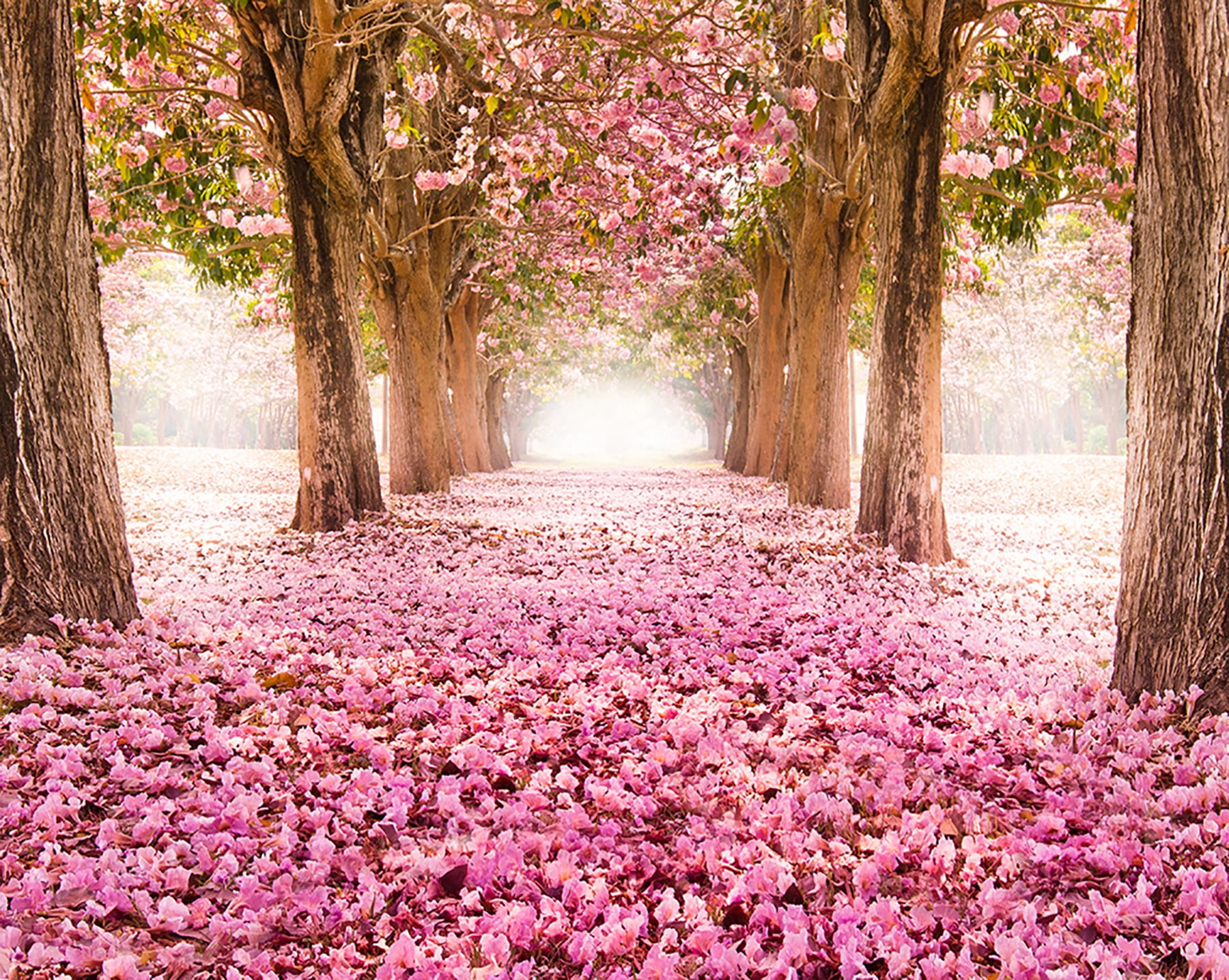 Pink Floral Tree Path Repositionable Wall Mural, 118" x 94"