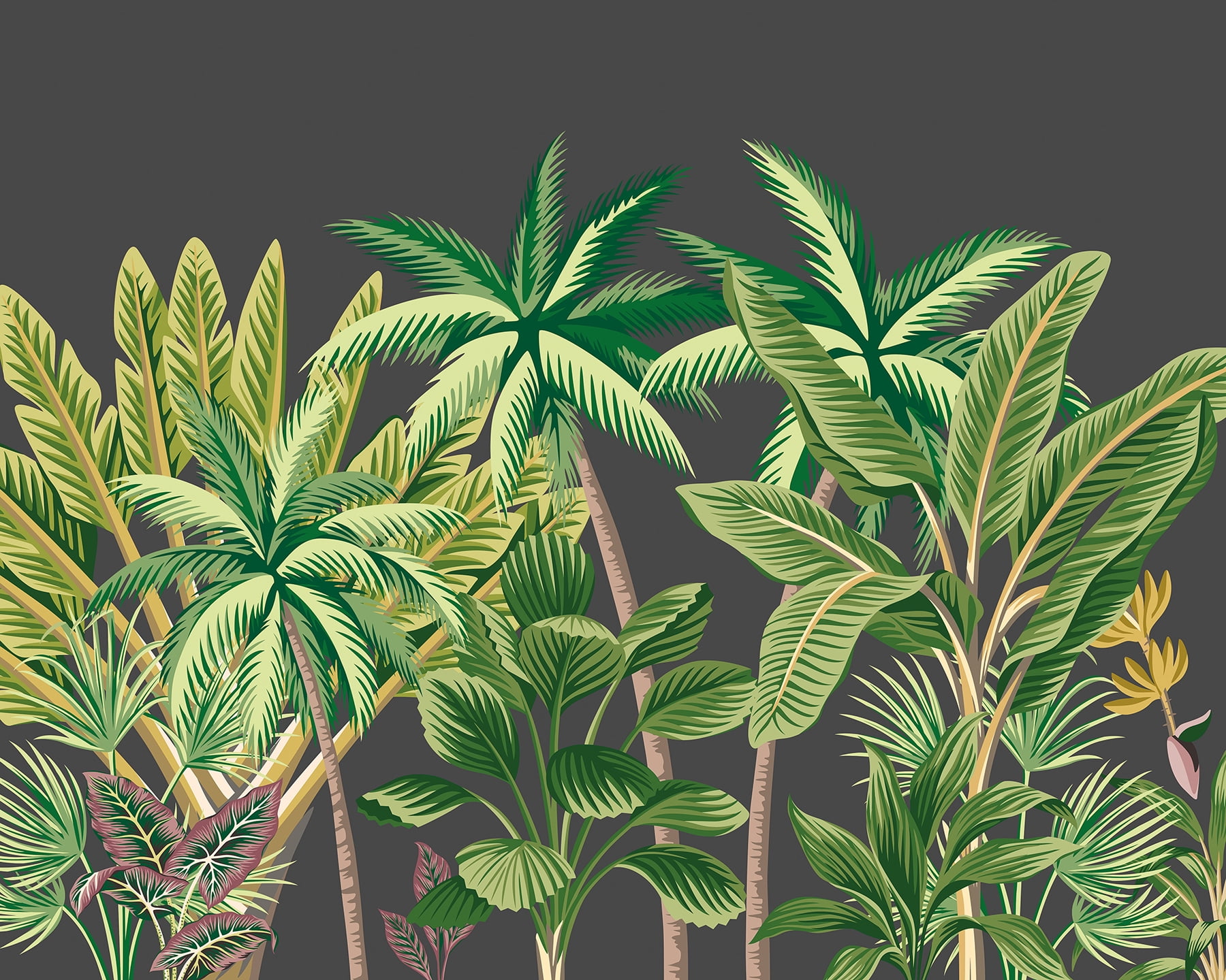 Grey Tropical Palm Trees Wall Mural with Green Leaves