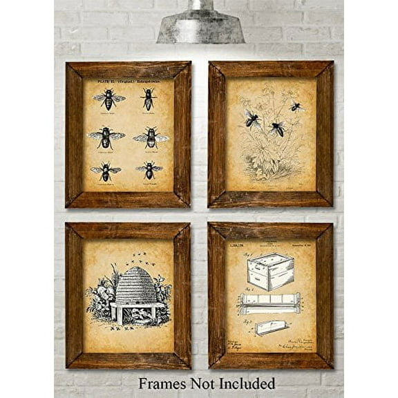 Original Bee Keeper Patent Prints - Set of Four Photos (8x10) Unframed - Great Gift for Bee Keepers and Urban Gardeners