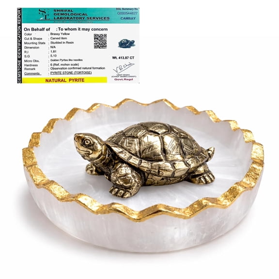 Original Certified Pyrite Tortoise (3x1 Inch) with Selenite Charging Plate, Vastu & Feng Shui Crystal Turtle for Good Luck, Wealth & Prosperity, Home Decor for Living Room & Office