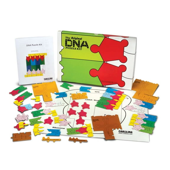 Original Dna Puzzle Kit, Teacher's Manual Included
