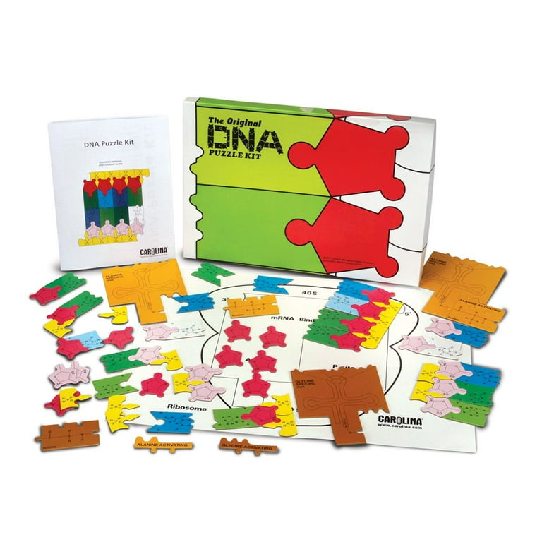 ボール DNA $_57.JPG?set_id=880000500F