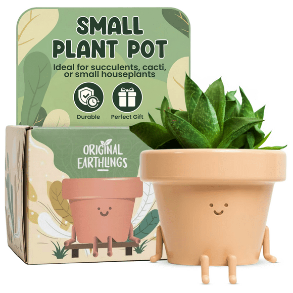 Original Earthlings Sitting Plant Pot - 4 inch Small Plastic Indoor Planter with Drainage