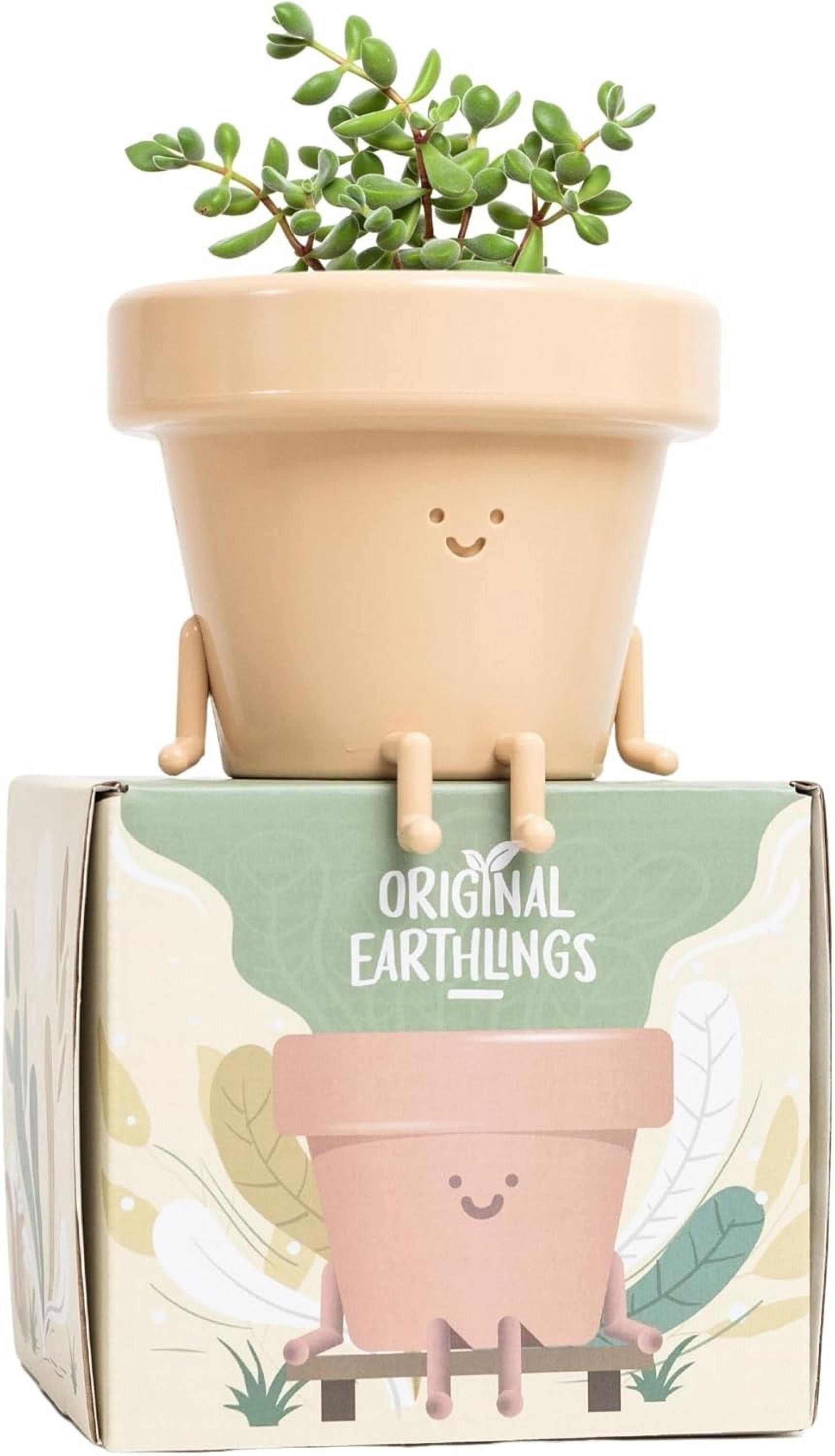 Original Earthlings Sitting Plant Pot - 4 inch Small Plastic Indoor Planter with Drainage