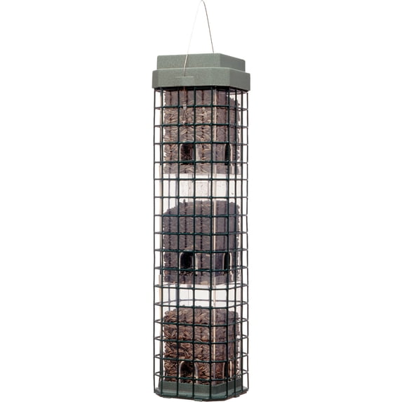 Original Evenseed Squirrel Dilemma Bird Feeder