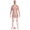 thumbnail image 1 of Original Morphsuits Muscle Adult Suit Character Morphsuit Bodysuit, 1 of 2