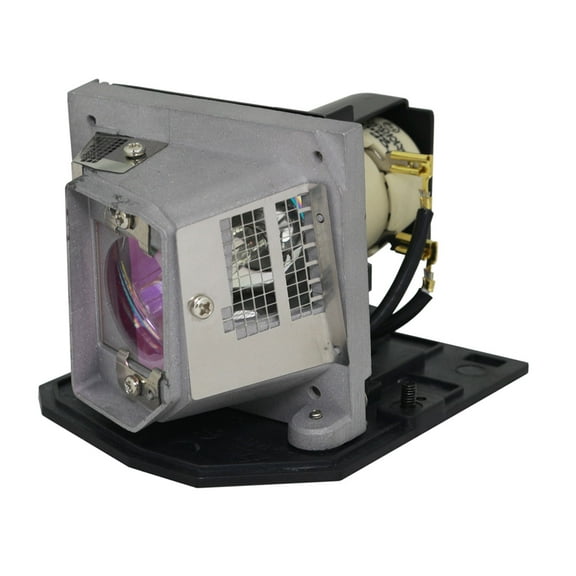 Original Philips Projector Lamp Replacement with Housing for NEC NP200