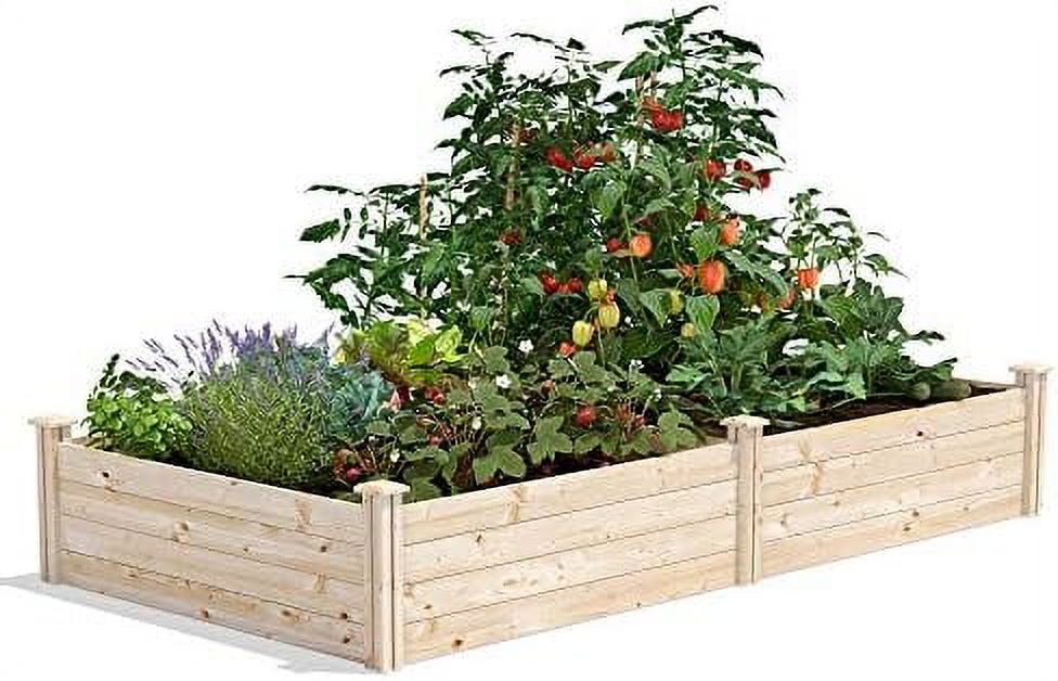 Original Pine Raised Garden Bed, 4' X 8' X 14" Made In With American Pine