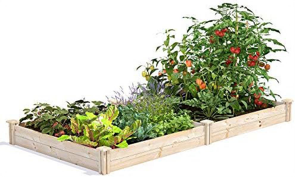 Original Pine Raised Garden Bed, 4' X 8' X 7" Made In With American Pine