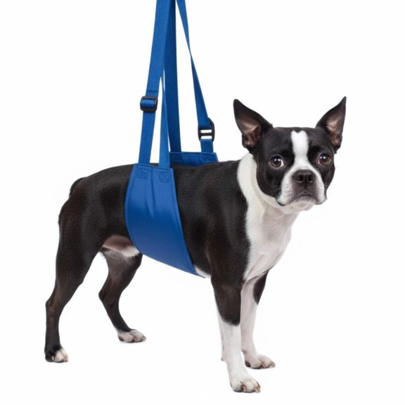 Four Flags Over Aspen Nylon Original Quick Lift Dog Support Harness