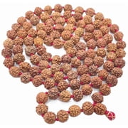 Ankita Gemstones Rudraksha Mala Brown, 16 in Rosary Beads, 108 Beads