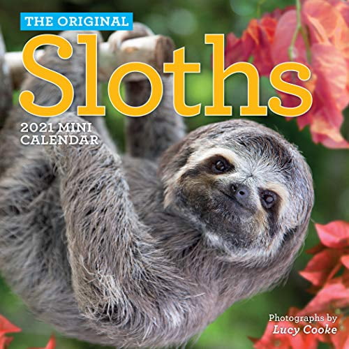 Pre-Owned Sloth Mini Wall Calendar 2021 Paperback