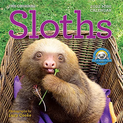 Pre-Owned Original Sloths Mini Wall Calendar 2022 Paperback