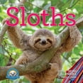 thumbnail image 1 of Original Sloths Mini Wall Calendar 2024 : Celebrate Life in the Slow Lane (Calendar), 1 of 1