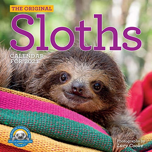 Pre-Owned Original Sloths Wall Calendar 2021 (Other)