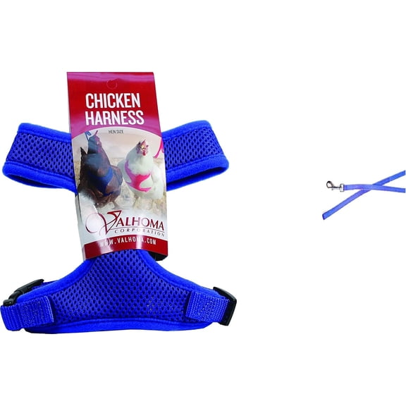 Original Valhoma Chicken Combo Pullet Harness with 4 Feet Leash, Blue XS