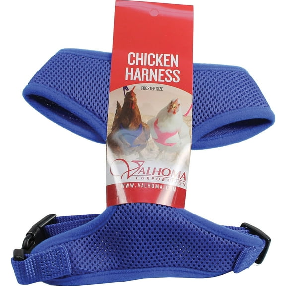 Original Valhoma Rooster Combo Harness with 6-Feet Leash, Blue MD