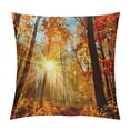 thumbnail image 1 of Orinice Autumn Leaves Graphic Decorative Pillow Cover for Home Couch Living Room Sofa, Durable Cotton Linen Pillowcase, 1PC 24x24in, 1 of 5