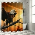 thumbnail image 1 of Orinice Bald Eagle Bathroom Decor Set Multi-Size Colorful Luxurious Graphic Print Polyester Fabric Fashion With Hooks Home Bathtubs Decoration 36x72, 1 of 7
