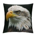 thumbnail image 1 of Orinice Bald Eagle Graphic Decorative Cushion Throw Pillow Cover for Home Couch Living Room Sofa, High-Quality, Multi-Purpose, 1PC 24x24in, 1 of 5