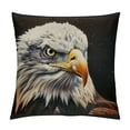 thumbnail image 1 of Orinice Bald Eagle Graphic Decorative Throw Pillow Cover for Home Couch Living Room Bed Sofa 1PC Square High-Quality 22x22in, 1 of 5