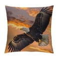 thumbnail image 1 of Orinice Bald Eagle Sky Sunset Graphic Decorative Cushion Throw Pillow Cover for Home Couch Living Room Bed Sofa Zipper Closure Printed on Both Sides 1PC 20x20in, 1 of 5