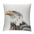 thumbnail image 1 of Orinice Bald Eagle Symbolism Graphic Decorative Cushion Throw Pillow Cover for Home Couch Living Room Sofa Bedroom 1PC Short Plush All Year Use 18x18in, 1 of 5